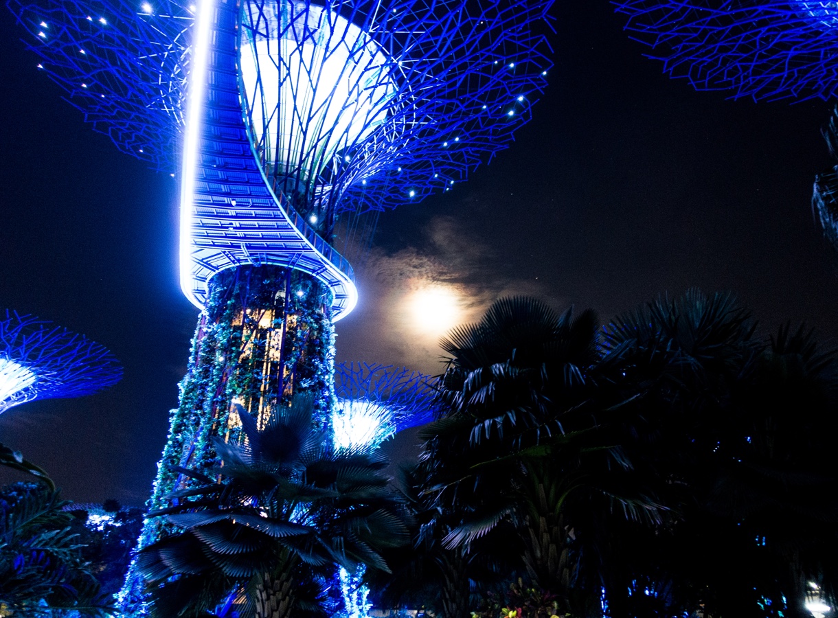 Supertree Grove — Singapore