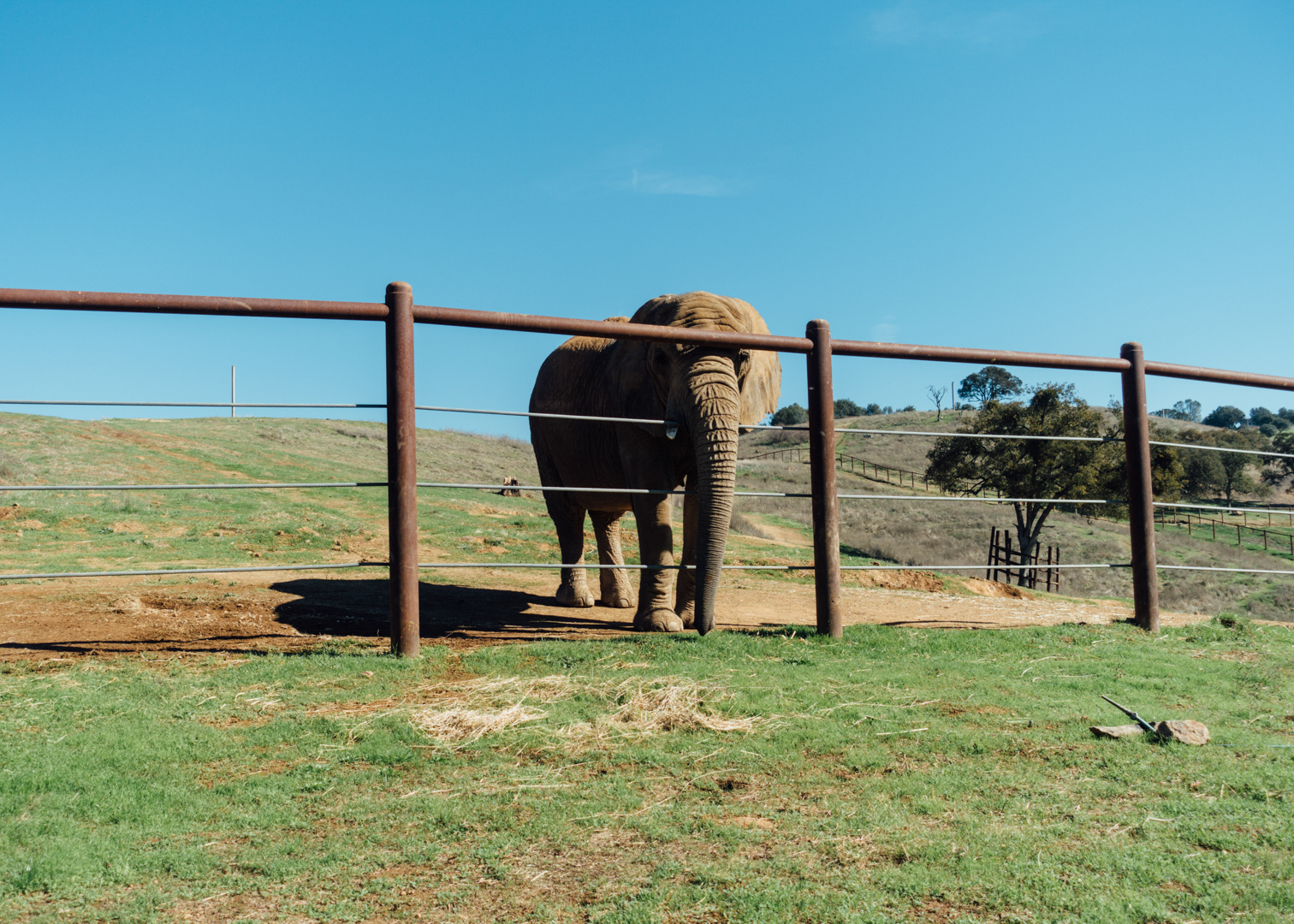 Performing Animal Welfare Sanctuary (PAWS) β San Andreas, CA